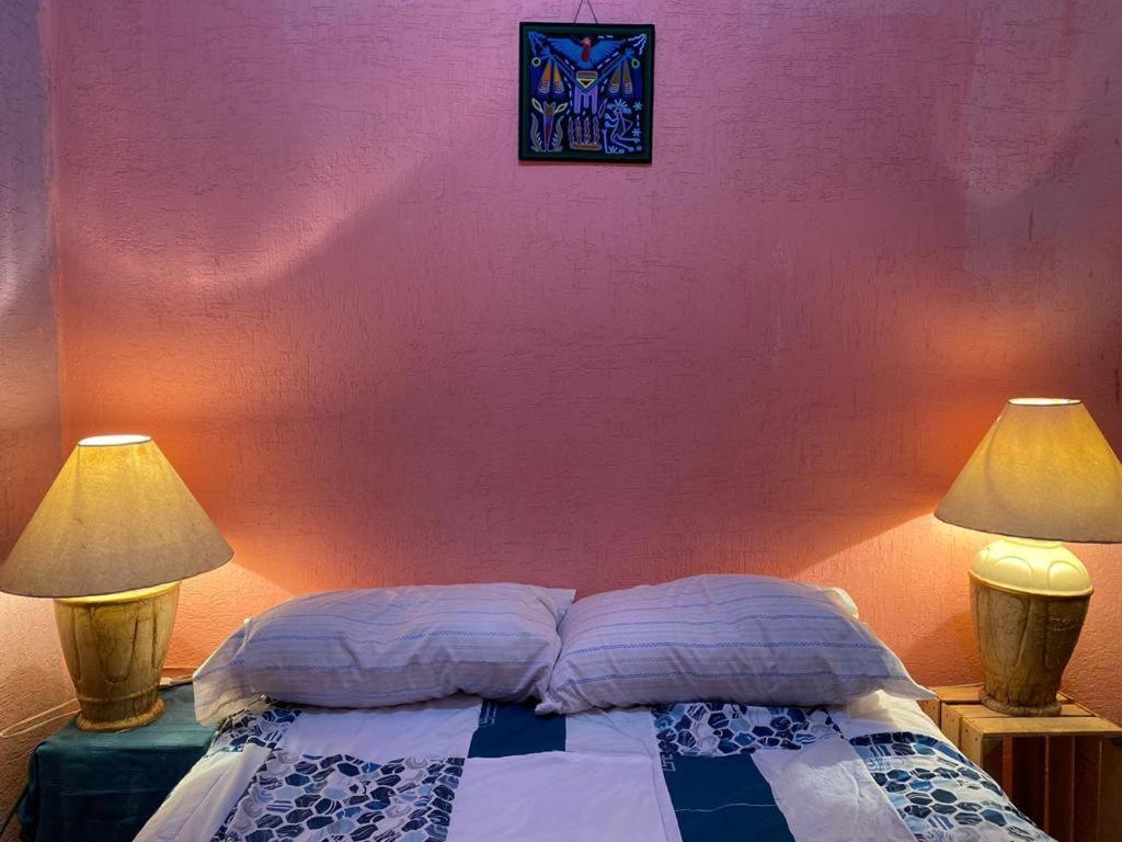 Hostal Del Centro En Slp San Luis Potosi Bagian luar foto
