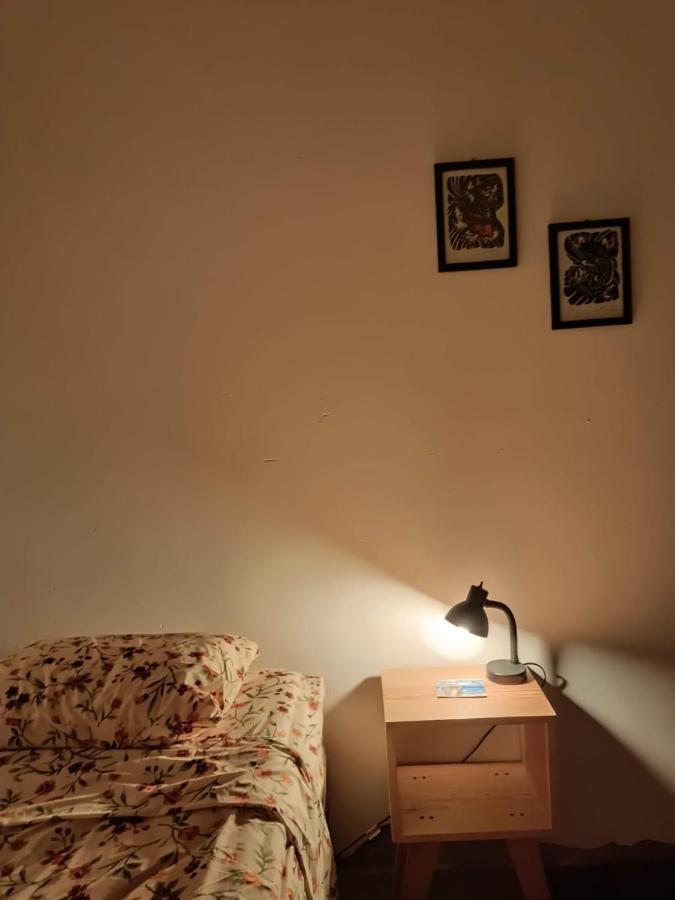 Hostal Del Centro En Slp San Luis Potosi Bagian luar foto